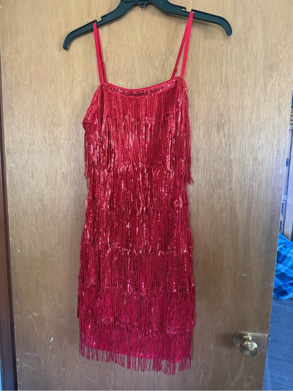 SHEIN Red Sequin Fringe Mini Dress